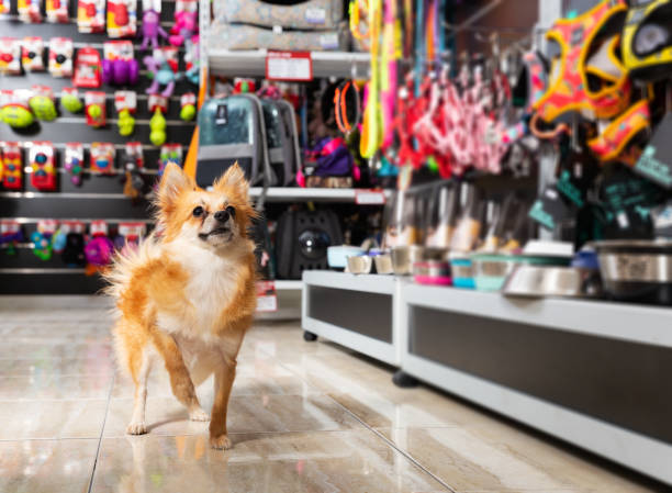 Petshop atendendo cliente